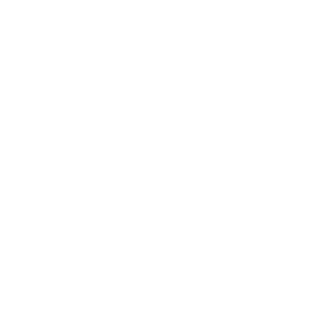 logo usach