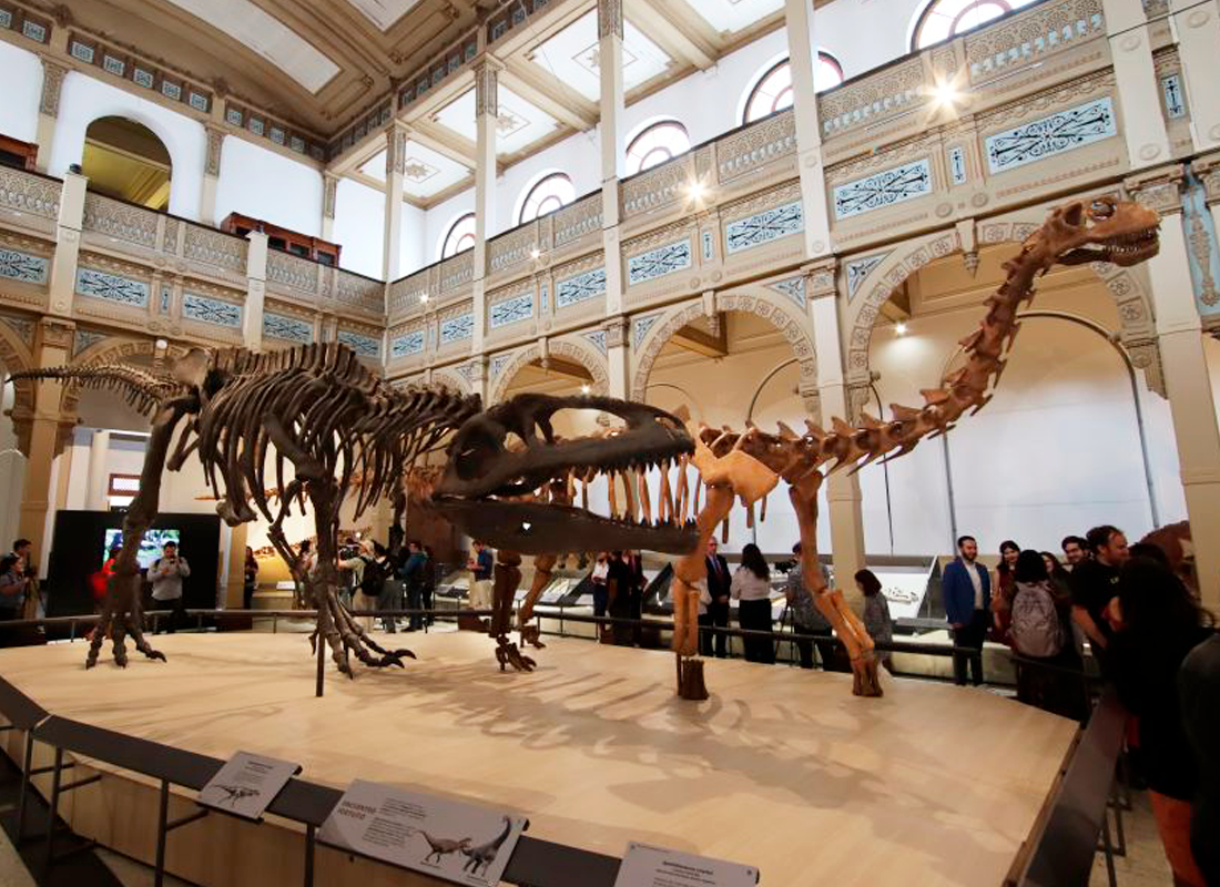 Dinosaurio en el museo