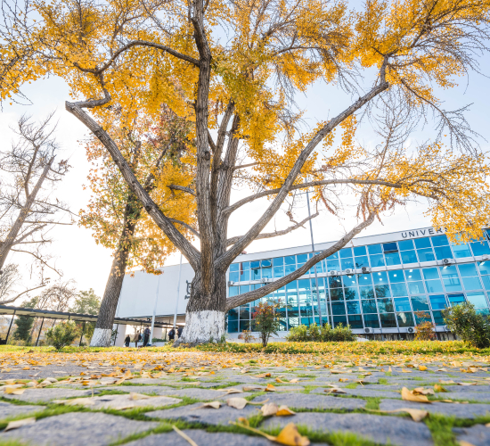 Foto de la actividad.