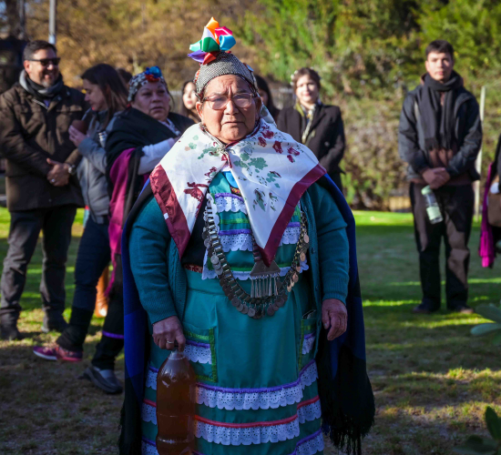 Foto de la actividad.