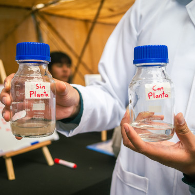 Foto de la actividad.