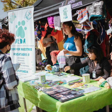 Foto de la actividad.