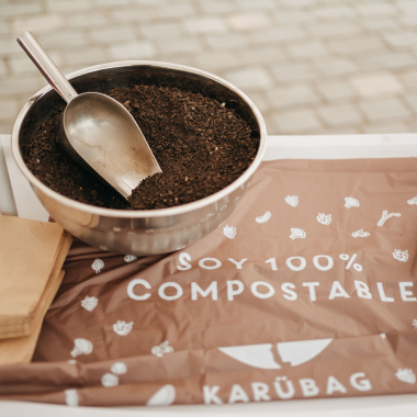 Foto de la actividad.