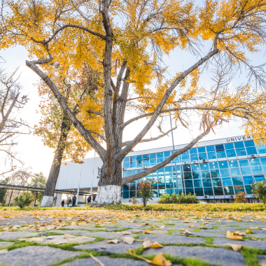 Foto de la actividad.