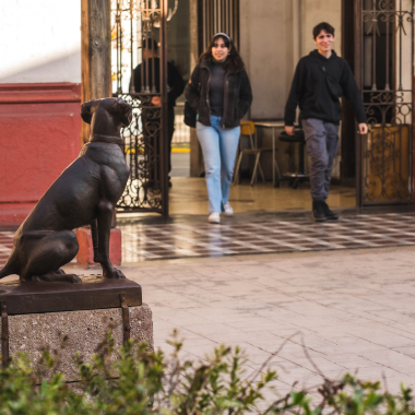Foto de la actividad.
