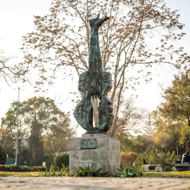 Foto de la actividad.