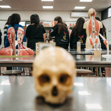 Foto de la actividad.