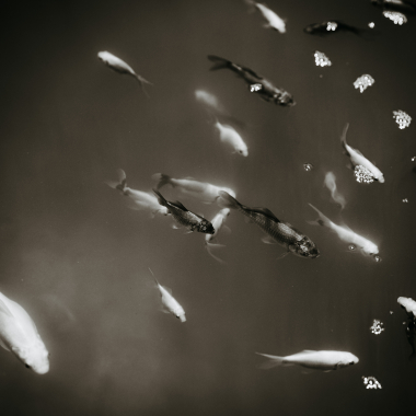 Foto de la actividad.