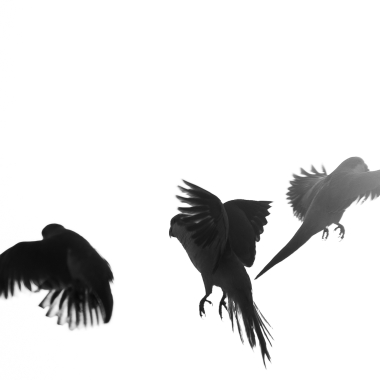 Foto de la actividad.