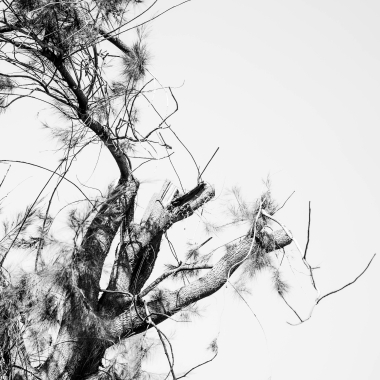 Foto de la actividad.