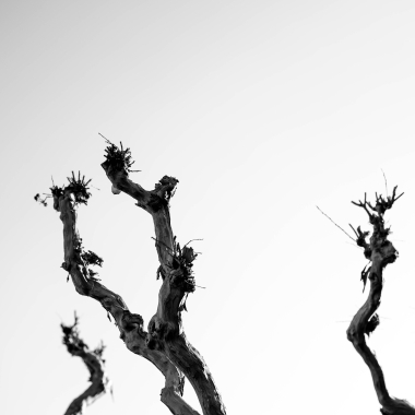 Foto de la actividad.