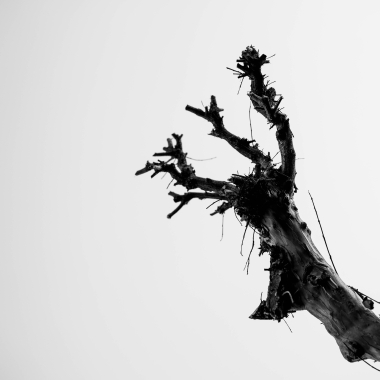 Foto de la actividad.