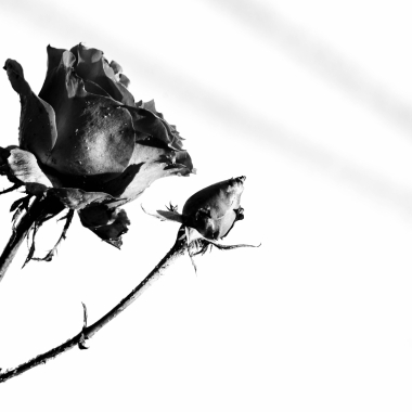 Foto de la actividad.