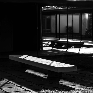 Foto de la actividad.