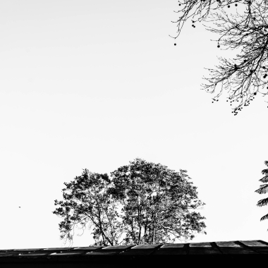 Foto de la actividad.