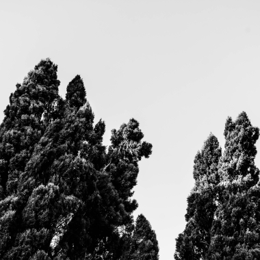 Foto de la actividad.