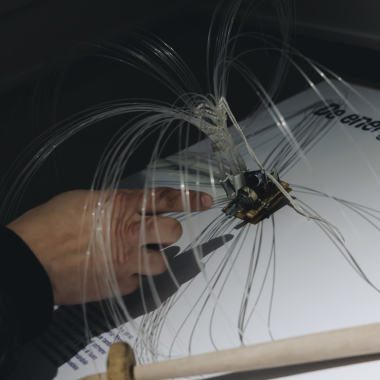 Foto de la actividad.