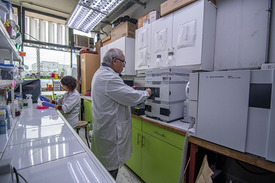 Researcher in lab