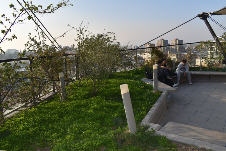 Un grupo de tres estudiantes comparte en el jardín en altura al interior del Edificio FAE