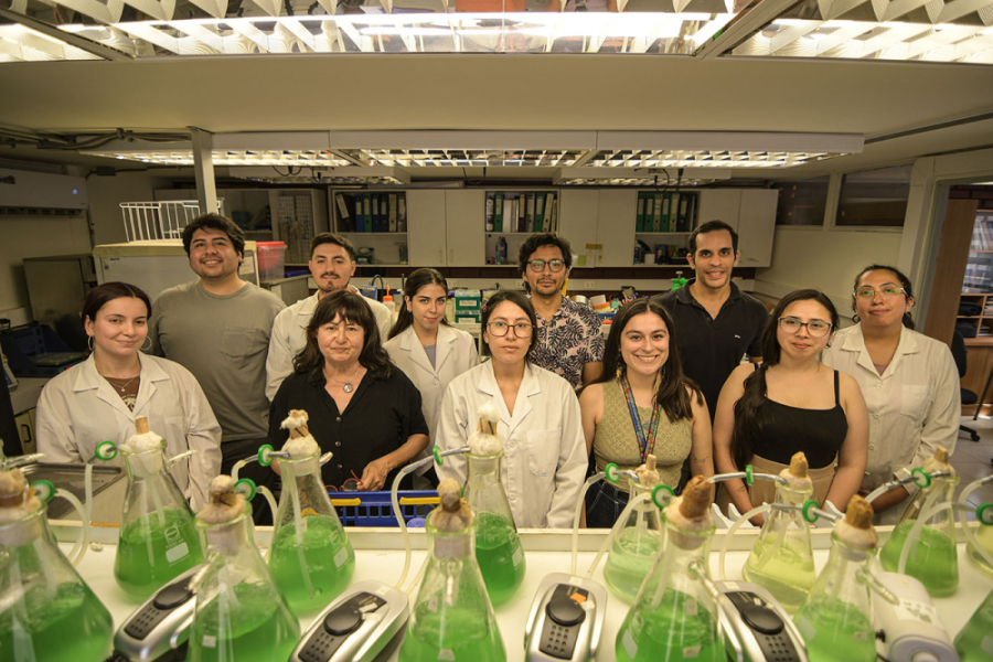 Equipo de investigación de la Dra.Claudia Ortiz Calderón, investigadora de la Facultad de Química y Biología,. Junto a ella aparecen 6 mujeres y 4 hombres, estudiantes que son parte de la investigación.