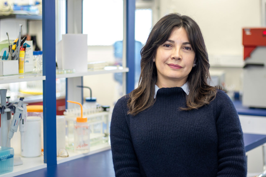 Dra. Carla Toledo, académica e investigadora de la Facultad de Química y Biología de la Usach.
