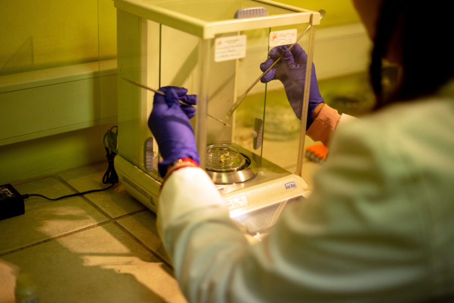 Imagen muestra a una persona de espaldas manipulando un instrumento de laboratorio