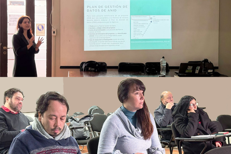 Académicos e investigadores del IDEA USACH, toman atención de la catedrática que realiza su charla. La fotografía está partida en dos (arriba y abajo) Arriba, aparece la persona que realiza la clase y abajo el grupo académico en cuestión.