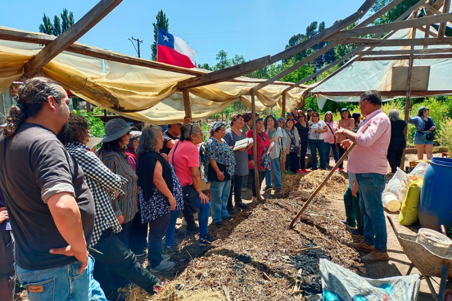 En la fotografía aparecen académicos, una estudiante y vecinos de Valparaíso en pleno taller de huertos.