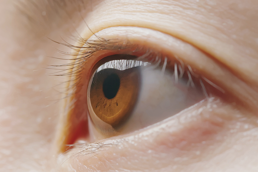 Uma visão macro detalhada de um olho castanho de perfil, capturando a luz refletida na córnea e as complexas texturas da íris.