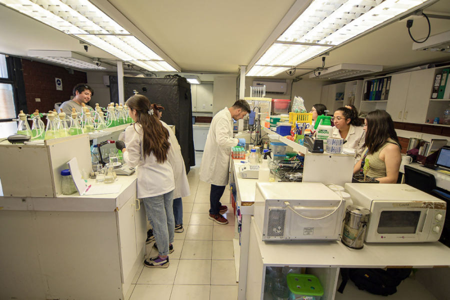 La imagen muestra a estudiantes hombres y mujeres dentro de un laboratorio manipulando instrumentos y observando los procesos
