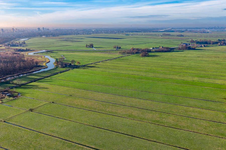 Aerial perspective of expansive green farmland, drainage canals, and horizon.