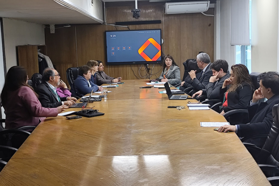 Foto grupal en Sala de Consejo