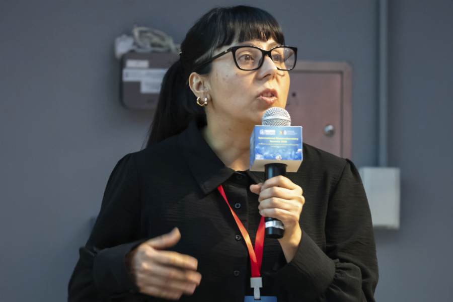 En la imagen aparece la Dra. Ingrid Ponce, académica de la Facultad de Química y Biología 