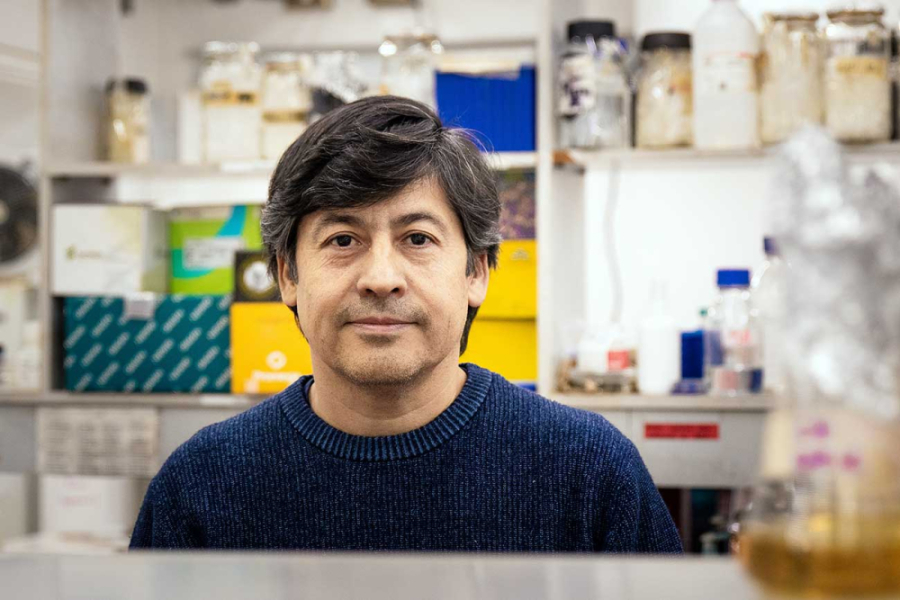 En la fotografía aparece el Dr. Renato Chávez, académico de la Facultad de Química y Biología, investigará si es posible elaborar queso azul sin esas sustancias y conservar las características que  distinguen a este tipo de producto.